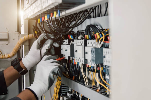 Best Electric Panel Repair  in Gonzalez, FL